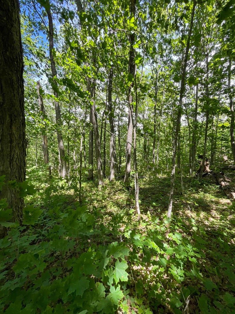 Lot 9 Block3 Hillside Dr, Lutsen, MN 55612