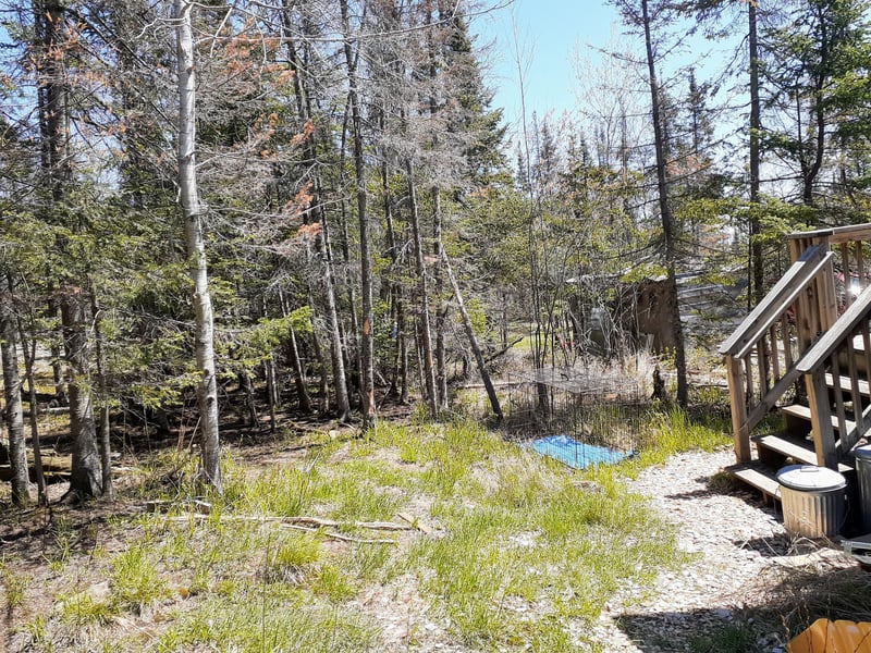 41 Rosebush Hill Rd, Grand Marais, MN 55604