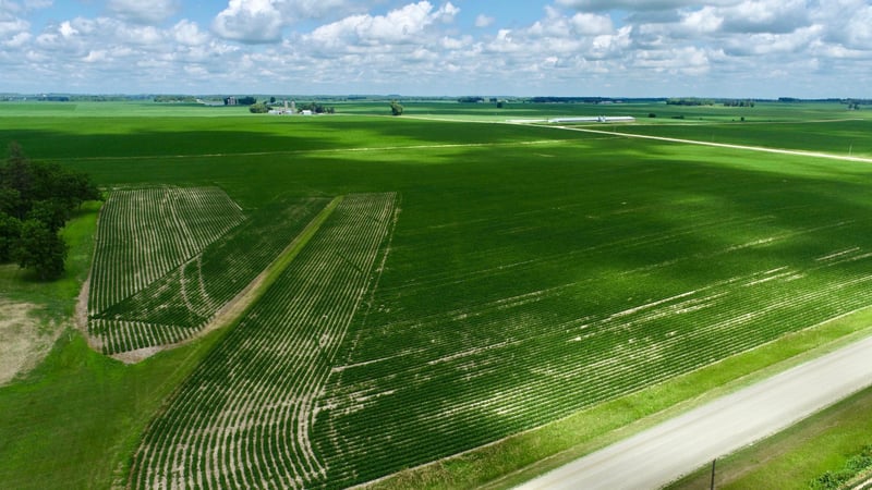 xxxx 540th St, West Concord, MN 55985