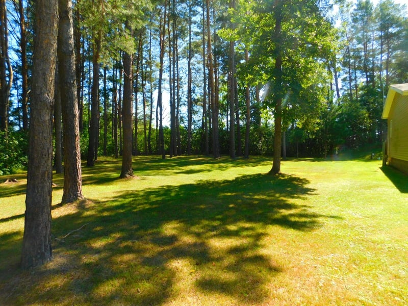 33410 Bear Creek Rd, Askov, MN 55704