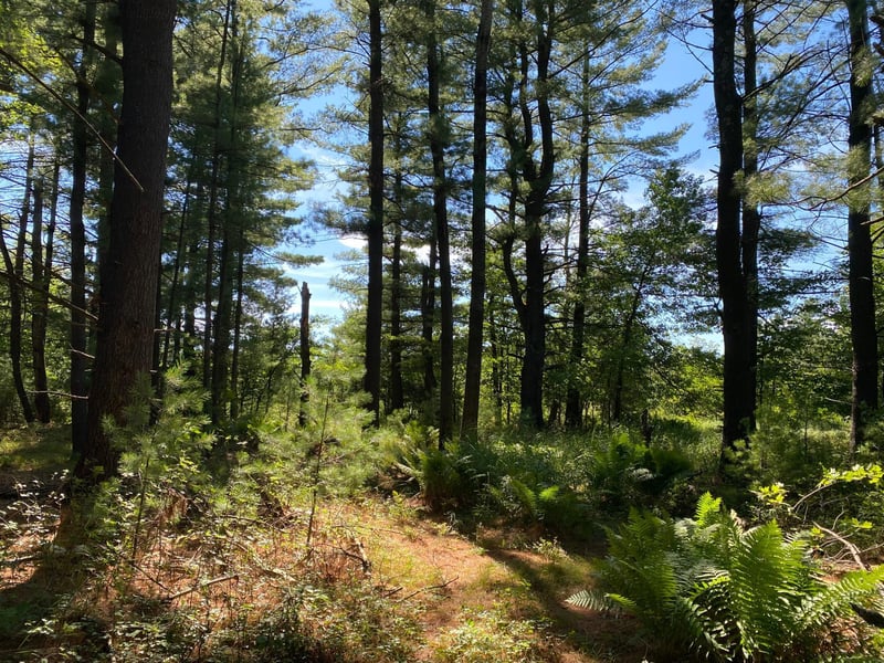 59 ac N Center St, Fairchild, WI 54741