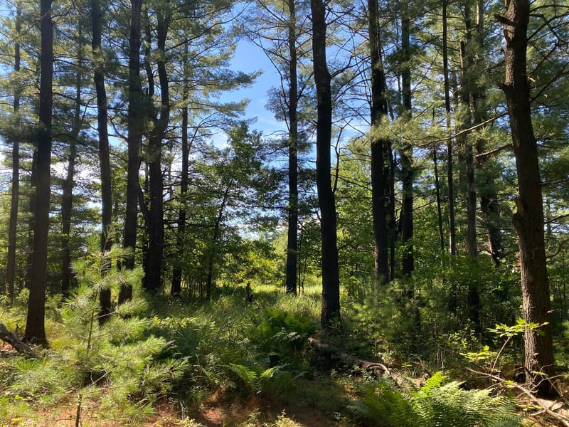 59 ac N Center St, Fairchild, WI 54741