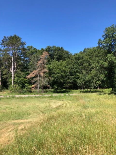 40XXX Hemingway Ave, North Branch, MN 55056