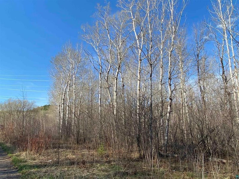 11xx 123rd Ave W, Duluth, MN 55808