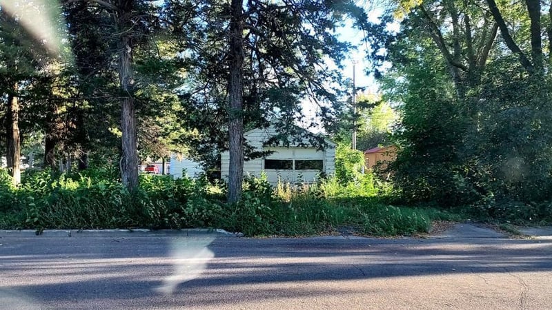 603 E Evergreen Ave, Olivia, MN 56277