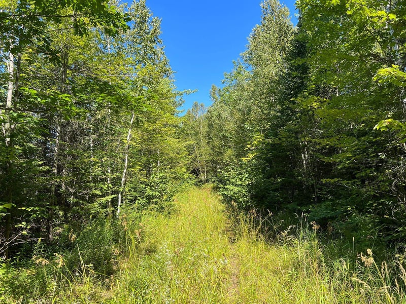 xxx Berge Rd, Foxboro, WI 54836