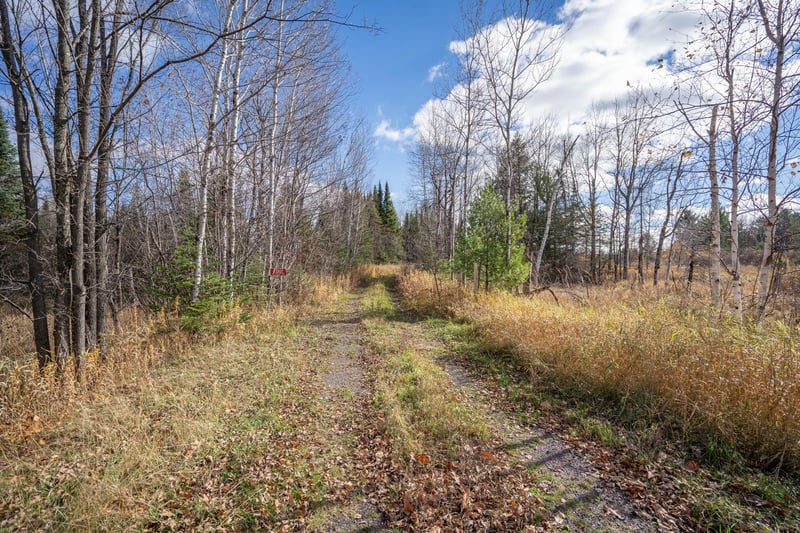 9390 E Hagman Rd, Solon Springs, WI 54873