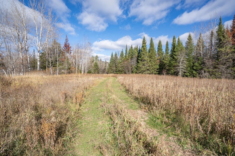 9390 E Hagman Rd, Solon Springs, WI 54873