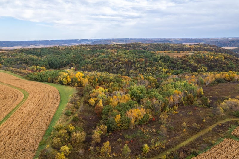 6278 Hop Hollow Rd, Houston, MN 55943