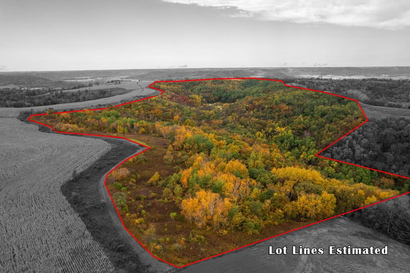 6278 Hop Hollow Rd, Houston, MN 55943