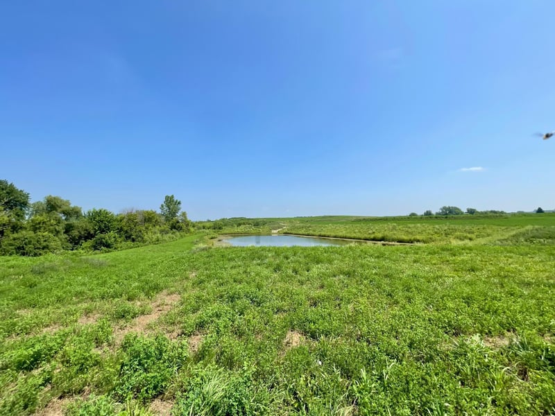 1412 Somerby Pl NE, Byron, MN 55920