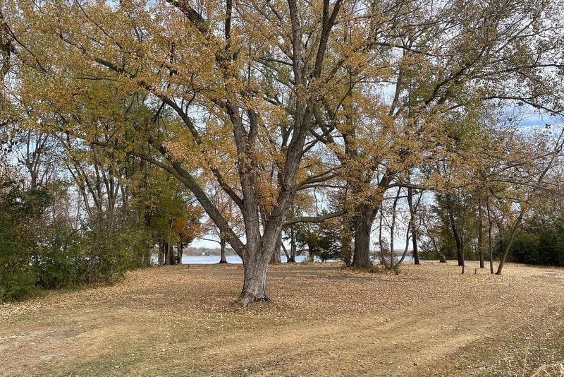 Lot N Sunrise Trl, Madison Lake, MN 56063