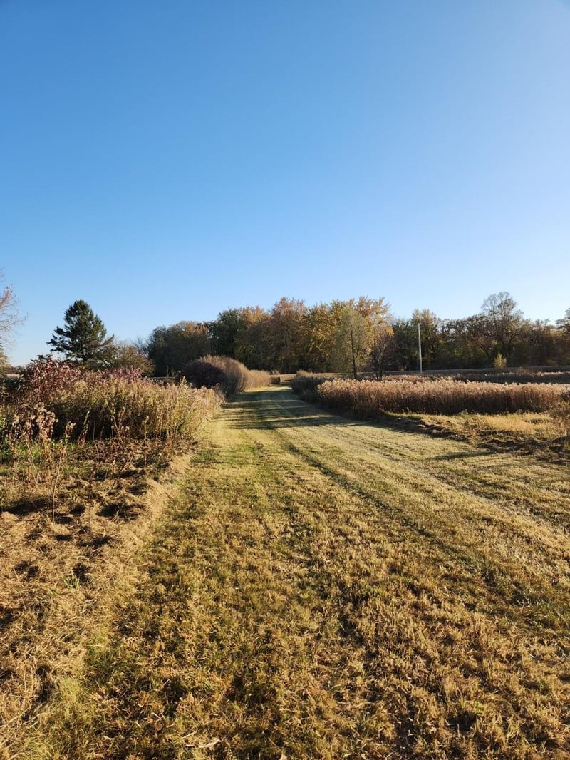 65230 220th St, Dexter, MN 55926