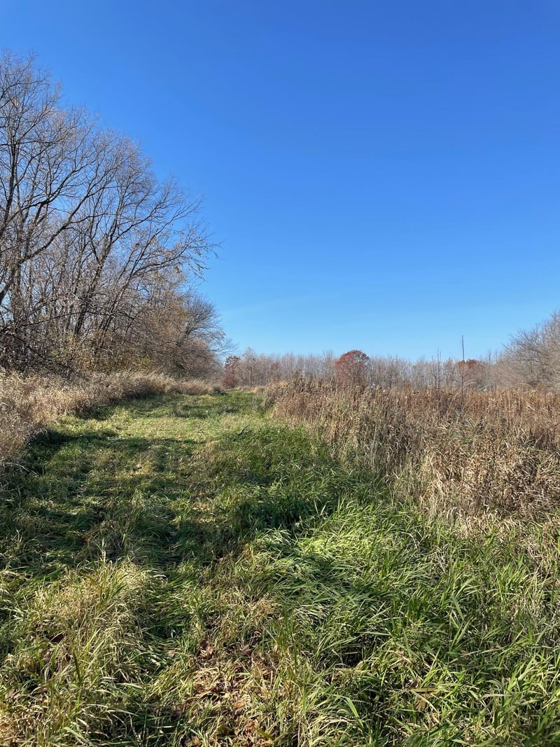 XXX Ames Ave NW, Buffalo, MN 55313
