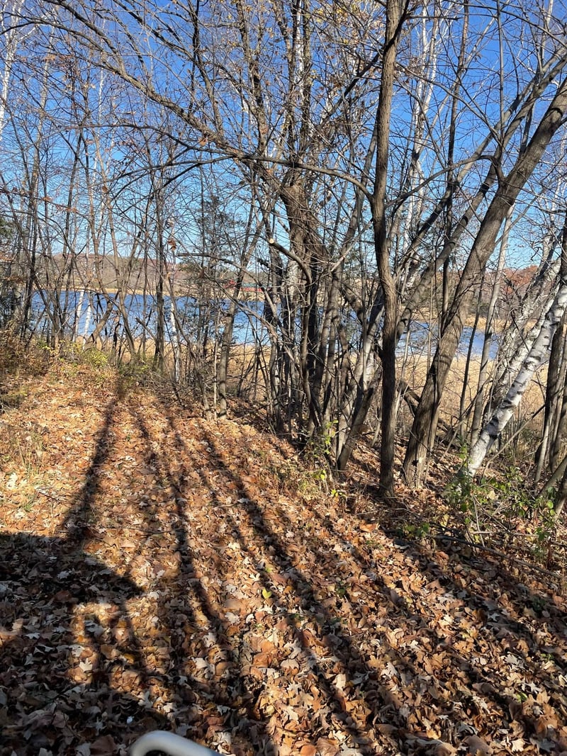 XXX Ames Ave NW, Buffalo, MN 55313