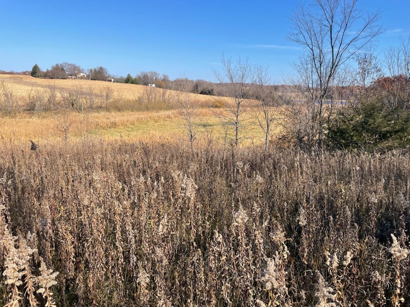 XXX Ames Ave NW, Buffalo, MN 55313
