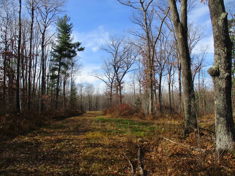 000 Say Hi Rd, Springbrook, WI 54875