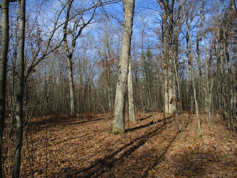 000 Say Hi Rd, Springbrook, WI 54875