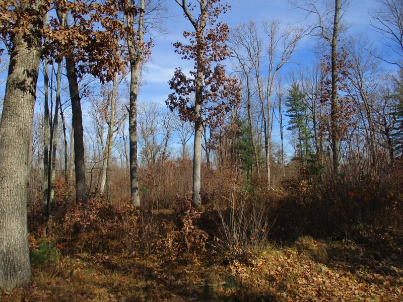 000 Say Hi Rd, Springbrook, WI 54875