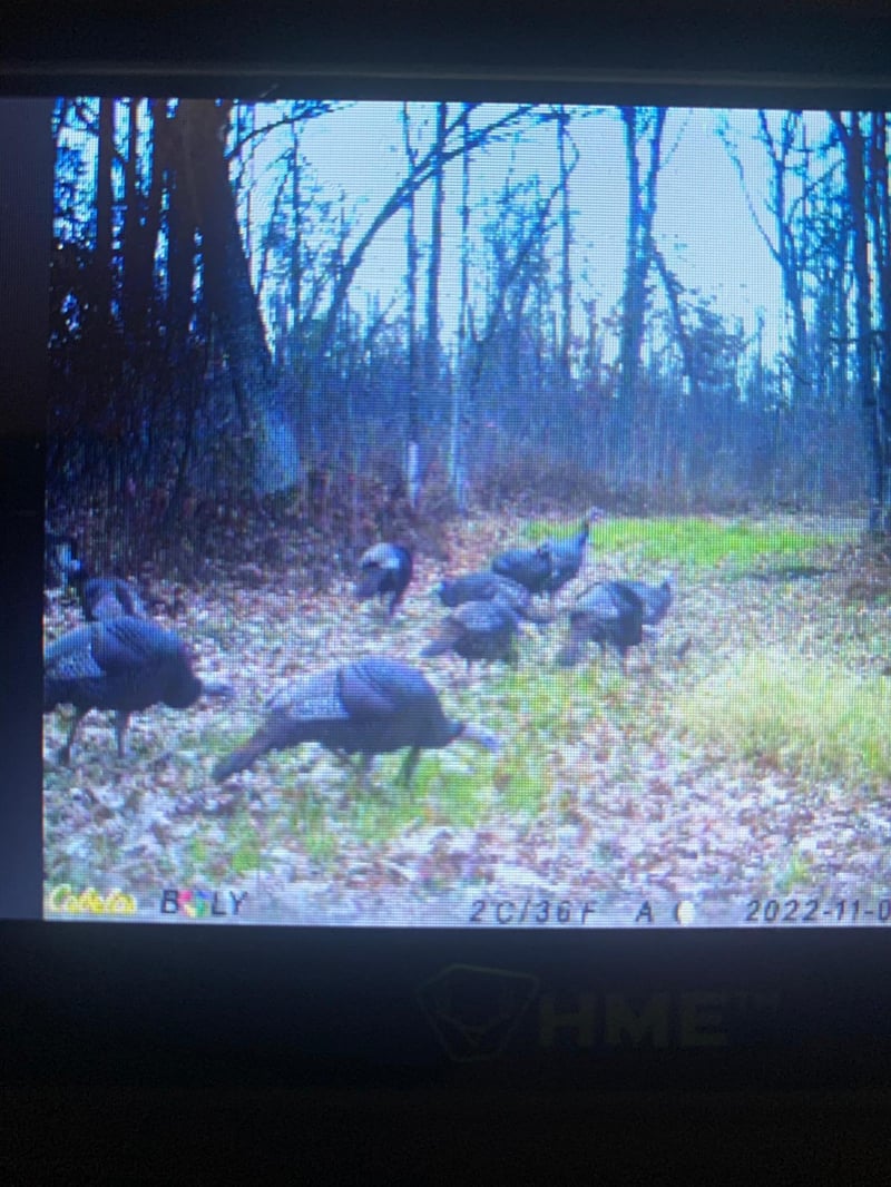 000 Say Hi Rd, Springbrook, WI 54875