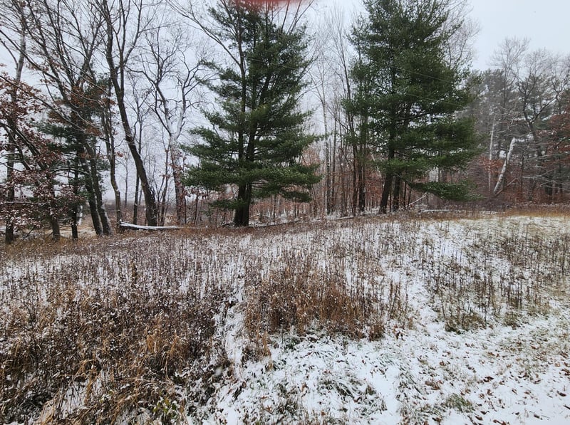 XXXX Deer Dr, Harris, MN 55032