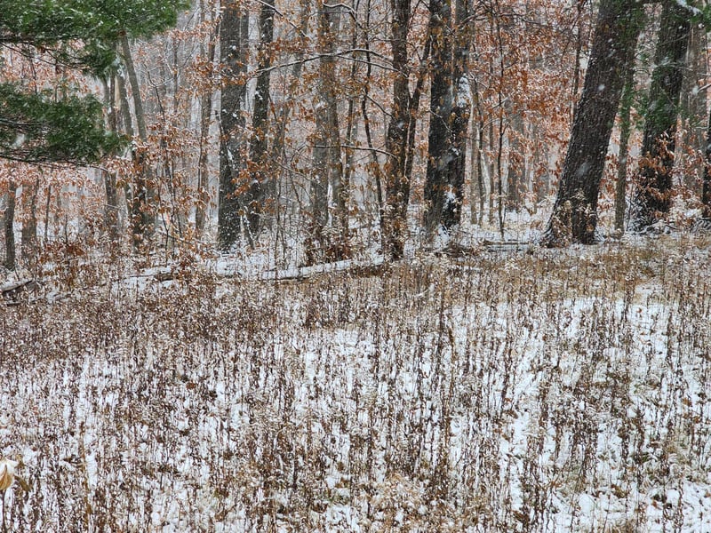 XXXX Deer Dr, Harris, MN 55032