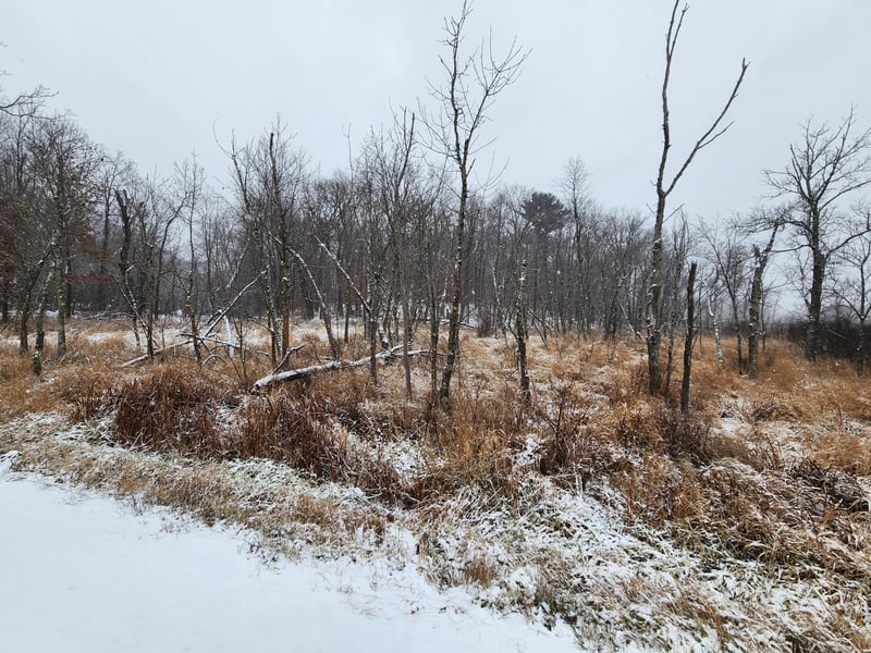XXXX Deer Dr, Harris, MN 55032