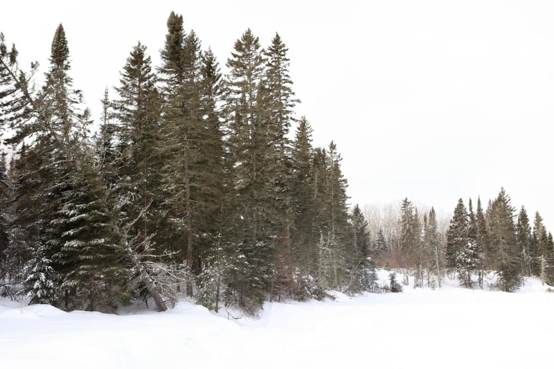 TBD Casper Hill Rd, Grand Marais, MN 55604