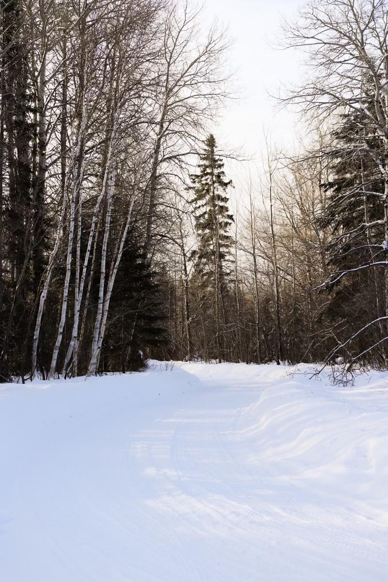 TBD Casper Hill Rd, Grand Marais, MN 55604