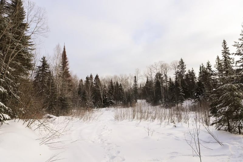 TBD Casper Hill Rd, Grand Marais, MN 55604