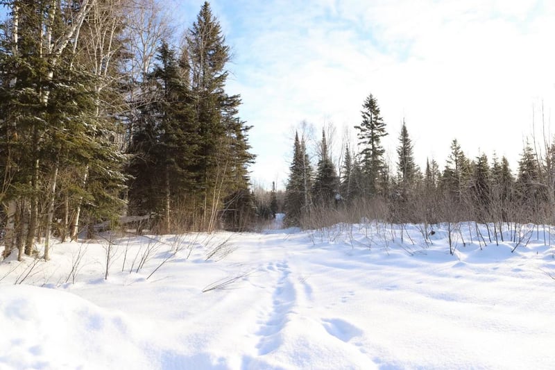 TBD Casper Hill Rd, Grand Marais, MN 55604