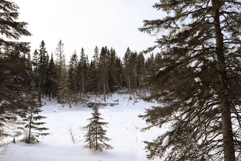 TBD Casper Hill Rd, Grand Marais, MN 55604