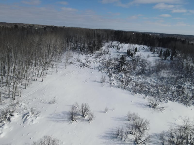 3xx Erickson Rd, Duluth, MN 55810