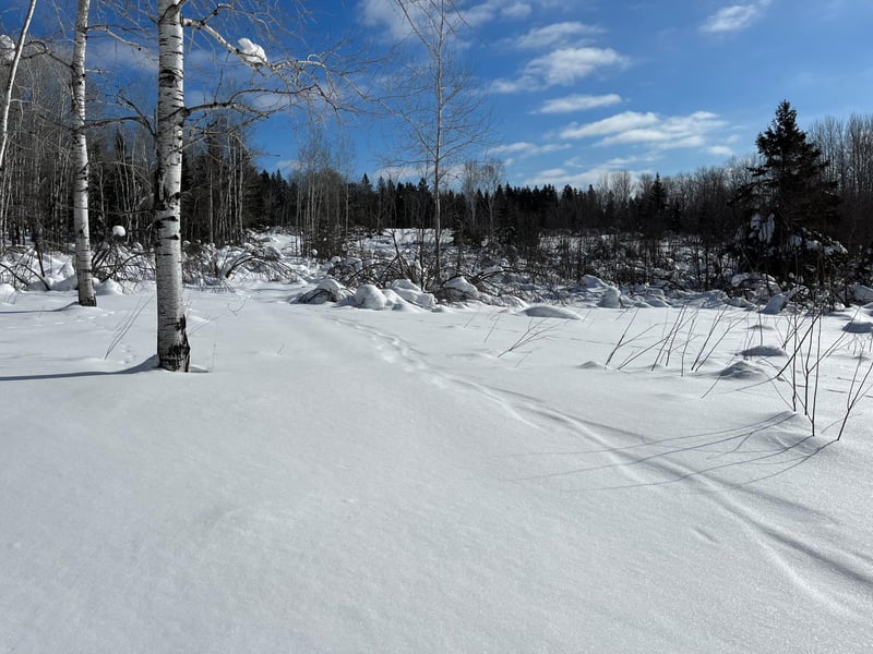 3xx Erickson Rd, Duluth, MN 55810