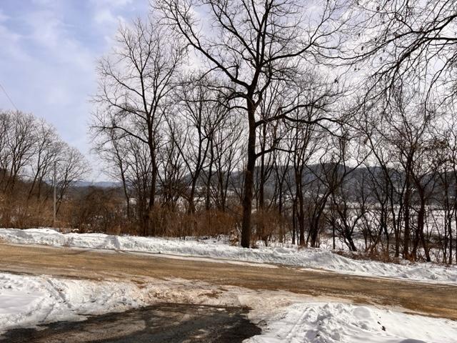 8338 Tt Rd, Houston, MN 55943