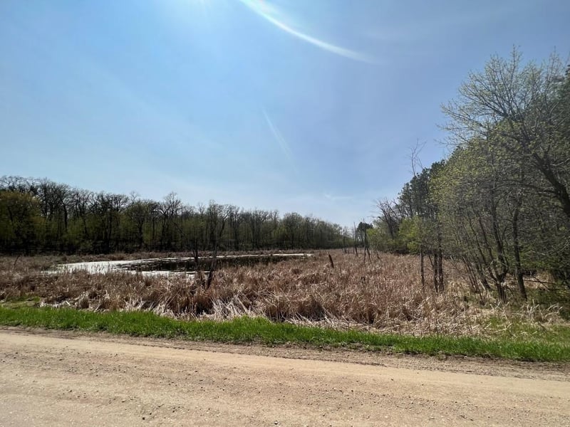 29469 160th Ave, Elizabeth, MN 56533