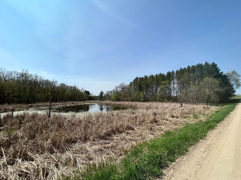 29469 160th Ave, Elizabeth, MN 56533