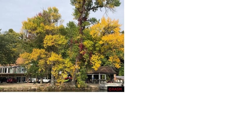 22359 Lake View Rd, Madison Lake, MN 56063