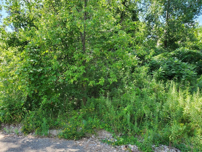 15xxx Buck Hill Rd, Burnsville, MN 55306