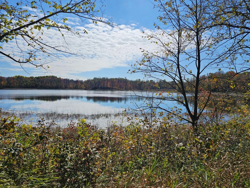 350XX 220th Ave, Erhard, MN 56534