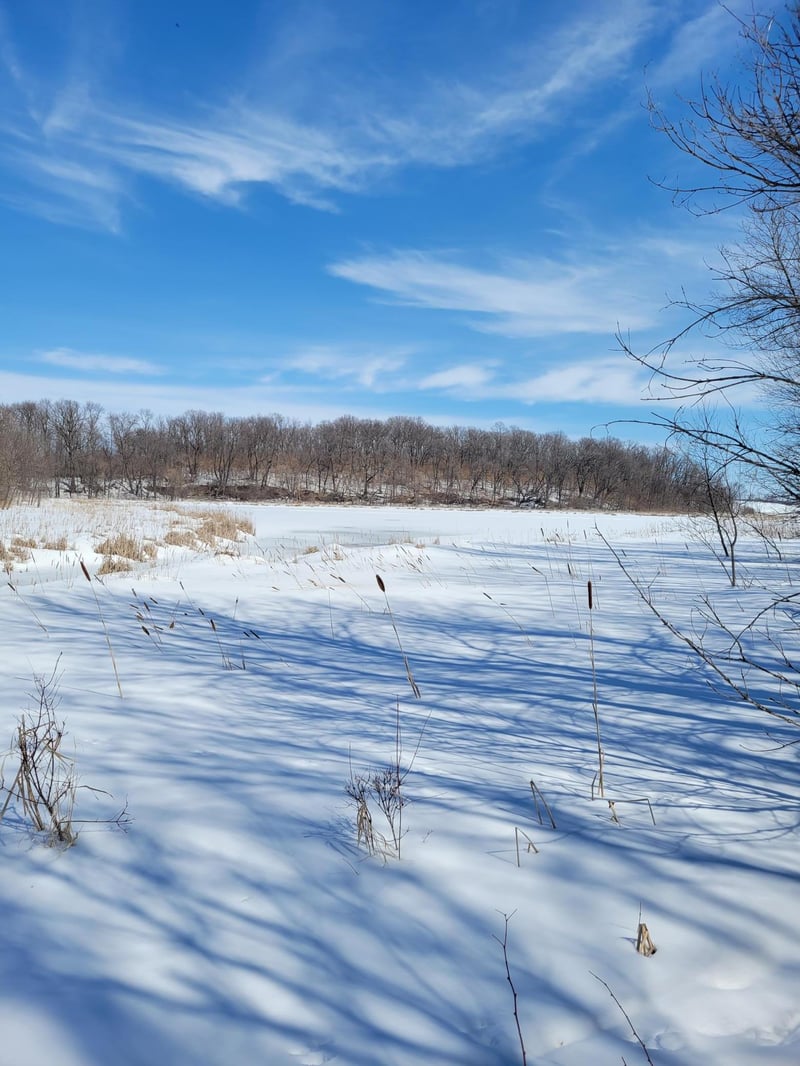 83xx Big Chip Trl NW, Garfield, MN 56332