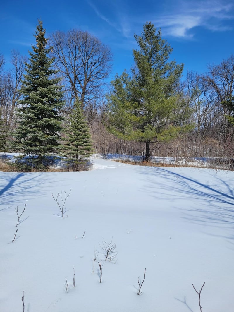 83xx Big Chip Trl NW, Garfield, MN 56332