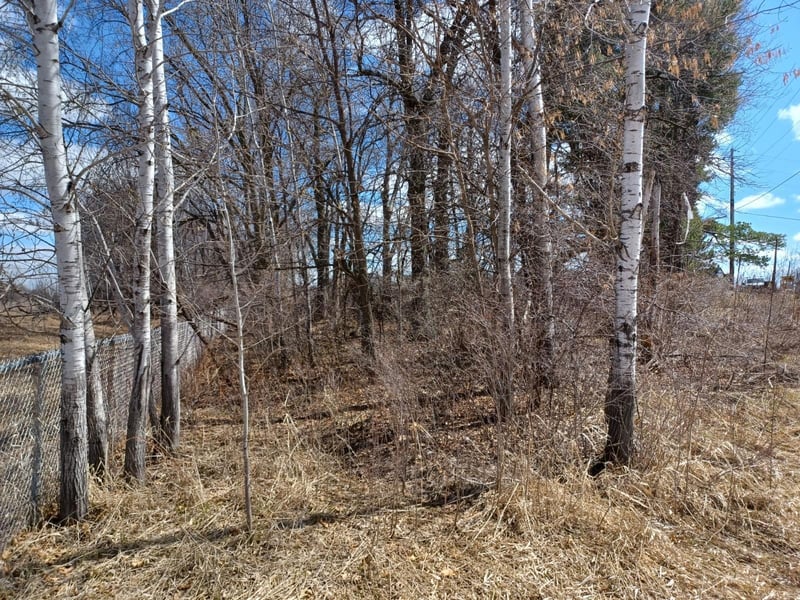 16xxx Lake Netta Dr, Ham Lake, MN 55304