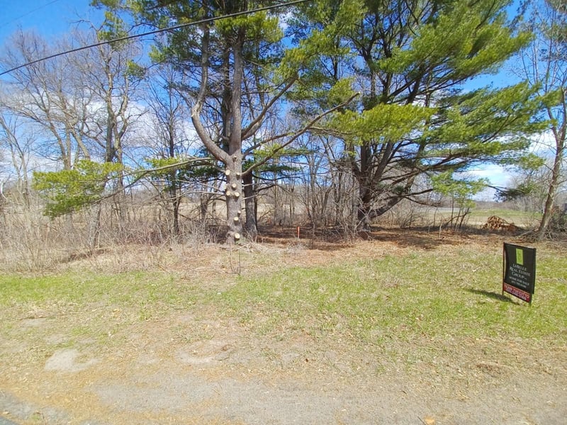 16xxx Lake Netta Dr, Ham Lake, MN 55304