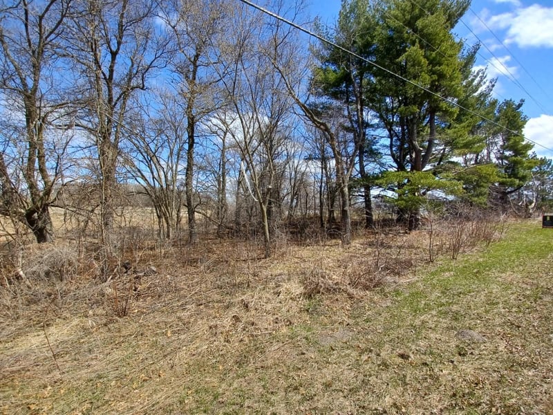 16xxx Lake Netta Dr, Ham Lake, MN 55304