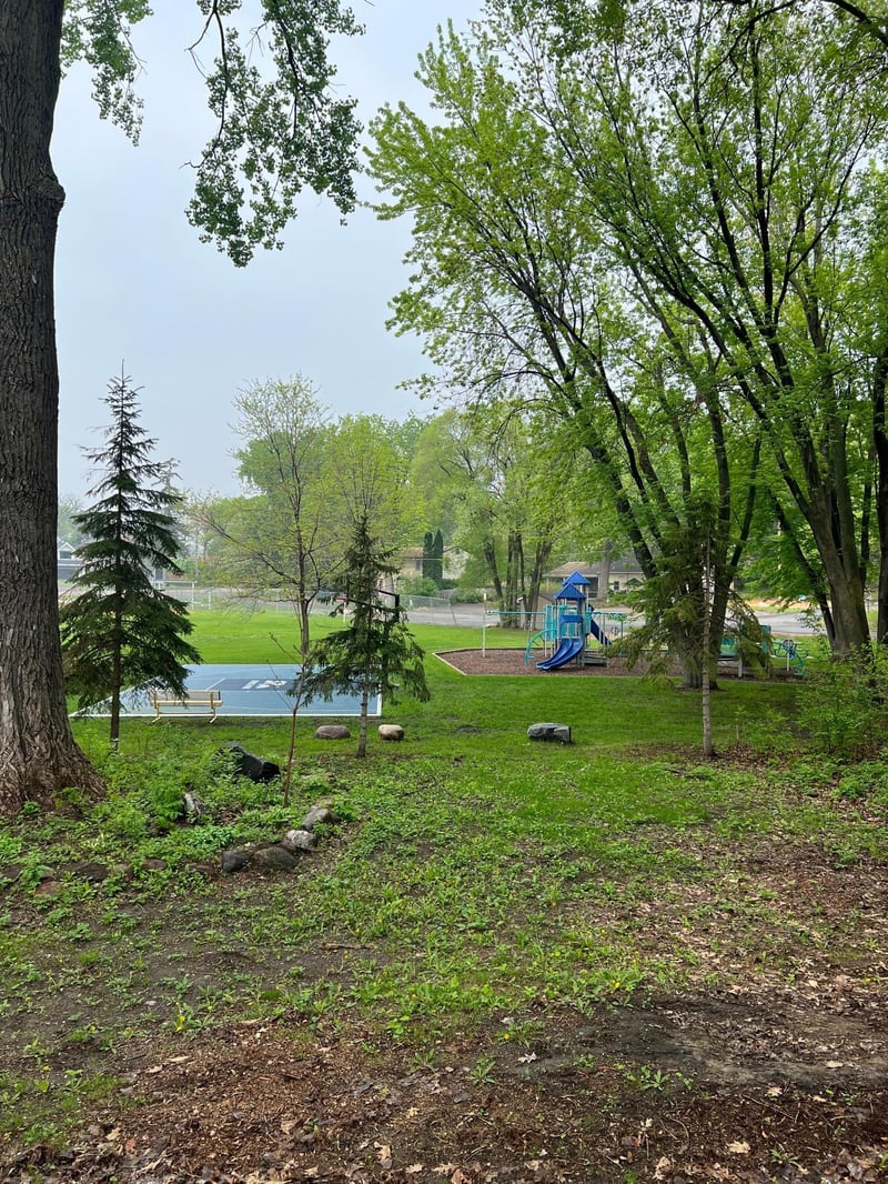 3900 Mapleton Ave, Spring Park, MN 55384