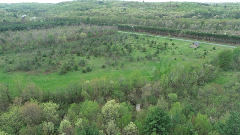 W13836 Hill Rd, Fairchild, WI 54741