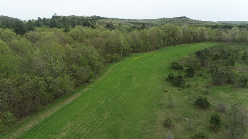 W13836 Hill Rd, Fairchild, WI 54741