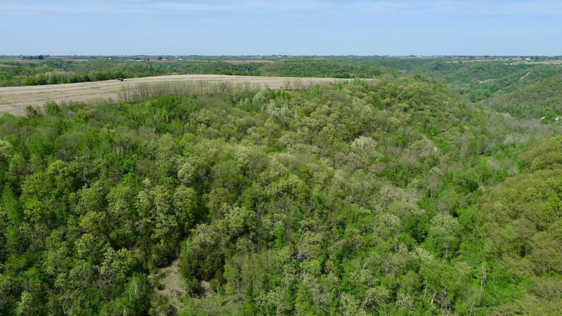 xxxx Slippery Hill Rd, Houston, MN 55943