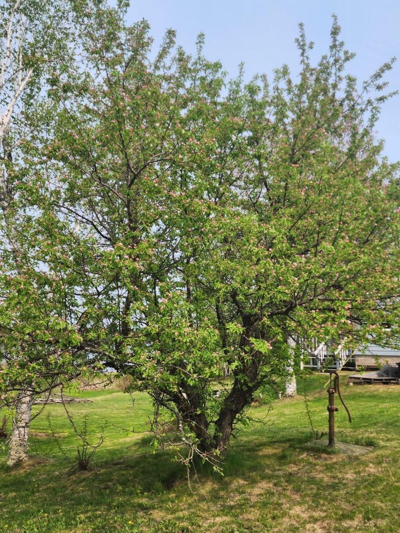 21610 Us Highway 2, Warba, MN 55793